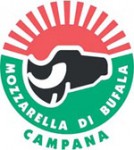 Mozzarella di buffala Campana neboli il gusto italiano